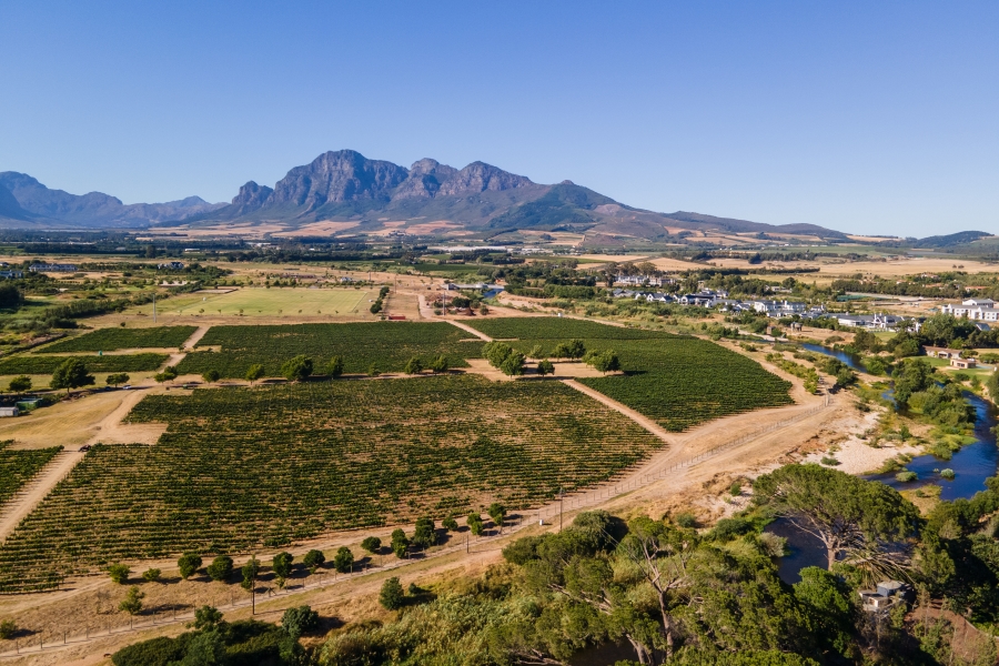 0 Bedroom Property for Sale in Val De Vie Estate Western Cape